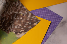 Lade das Bild in den Galerie-Viewer, Reinigungstuch - Streifenkauz - Microfasertuch für Brillen, Bildschirme und Objektive - Eule, Kauz - Eigene Gouache Illustration