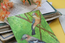 Lade das Bild in den Galerie-Viewer, Postkarte - Eichelhäher