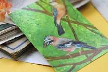 Lade das Bild in den Galerie-Viewer, Postkarte - Eichelhäher