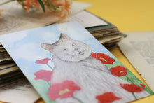 Lade das Bild in den Galerie-Viewer, Postkarte - Katze im Mohnblumenfeld