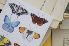 Lade das Bild in den Galerie-Viewer, Postkarte - Schmetterlinge