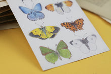 Lade das Bild in den Galerie-Viewer, Postkarte - Schmetterlinge