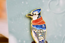 Lade das Bild in den Galerie-Viewer, Emaille Pin - Blauhäher mit Schal - Glitzer und Normale Variante
