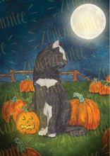 Lade das Bild in den Galerie-Viewer, Print - Halloween Katze mit Kürbis - Vollmond - Handgemalte Illustration
