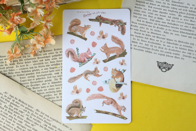 Stickerbogen - Eichhörnchen - Waldtiere - Bullet Journal