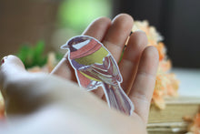 Lade das Bild in den Galerie-Viewer, Vinyl Sticker - Kohlmeise mit Schal - Gartenvögel - Handgemalte Illustration
