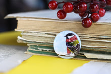Lade das Bild in den Galerie-Viewer, Magnet - Kohlmeise mit Schal im Schnee - Eigene Illustration
