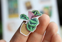 Lade das Bild in den Galerie-Viewer, Stickerbogen - Lets get cozy - Gemütliche Sticker - Bücher, Pflanzen, Katze, Herbst, Winter - Bullet Journal - Eigene Illustrationen
