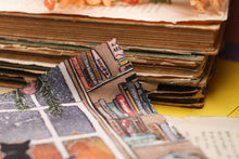 Lade das Bild in den Galerie-Viewer, Reinigungstuch - Katzen am Fenster - Bücherregal - Bücher - Microfasertuch für Brille, Bildschirm und Objektiv - Eigene Illustration
