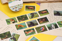 Lade das Bild in den Galerie-Viewer, Washi Tape - Briefmarken - Forest Stamps - 5mx25mm - Waldtiere - Eigene Illustrationen

