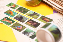 Lade das Bild in den Galerie-Viewer, Washi Tape - Briefmarken - Forest Stamps - 5mx25mm - Waldtiere - Eigene Illustrationen
