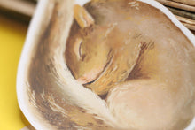 Lade das Bild in den Galerie-Viewer, Vinyl Sticker - Eichhörnchen schlafend - Handgemalte Illustration
