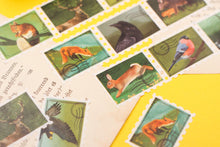 Lade das Bild in den Galerie-Viewer, Washi Tape - Briefmarken - Forest Stamps - 5mx25mm - Waldtiere - Eigene Illustrationen
