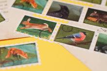 Lade das Bild in den Galerie-Viewer, Washi Tape - Briefmarken - Forest Stamps - 5mx25mm - Waldtiere - Eigene Illustrationen
