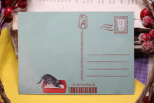Lade das Bild in den Galerie-Viewer, Postkarte - Let it snow - Weihnachtskarte Katzenklo - Katzentoilette Graue Katze - Lustige Karte Weihnachten - Eigene Illustration
