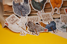 Lade das Bild in den Galerie-Viewer, Vinyl Sticker - Protestierende Hühner - Einzeln oder als Set - Gegen Rechts - Liebe statt Hass - Handgemalte Illustration
