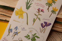 Lade das Bild in den Galerie-Viewer, Stickerbogen - Blumen im Frühling - Schneeglöckchen, Krokusse, Osterglocken - Bullet Journal - Eigene Illustrationen
