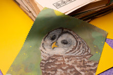 Lade das Bild in den Galerie-Viewer, Reinigungstuch - Streifenkauz - Microfasertuch für Brillen, Bildschirme und Objektive - Eule, Kauz - Eigene Gouache Illustration
