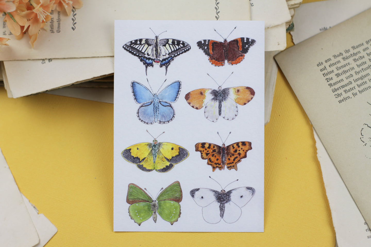 Postkarte - Schmetterlinge