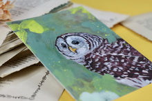 Lade das Bild in den Galerie-Viewer, Postkarte - Streifenkauz
