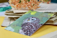 Lade das Bild in den Galerie-Viewer, Postkarte - Streifenkauz
